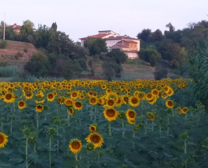 Podere Gian Battaglia Фучекио Екстериор снимка